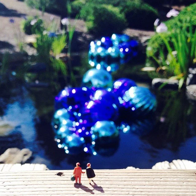 Denver+Botanic+Gardens+-+Dale+Chihuly.jpg
