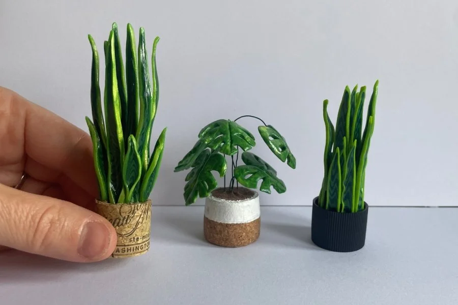 Make Your Own Mini House Plants Workshop