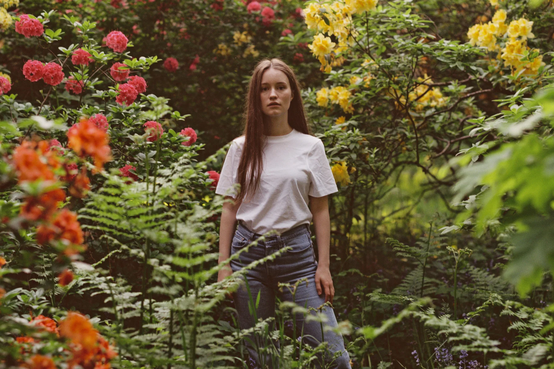 photo by Francesca Allen