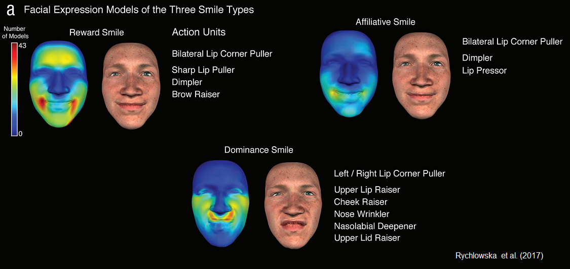 The facial action units that emerged as indicative of reward, affiliation, and dominance, based on perceiver ratings.