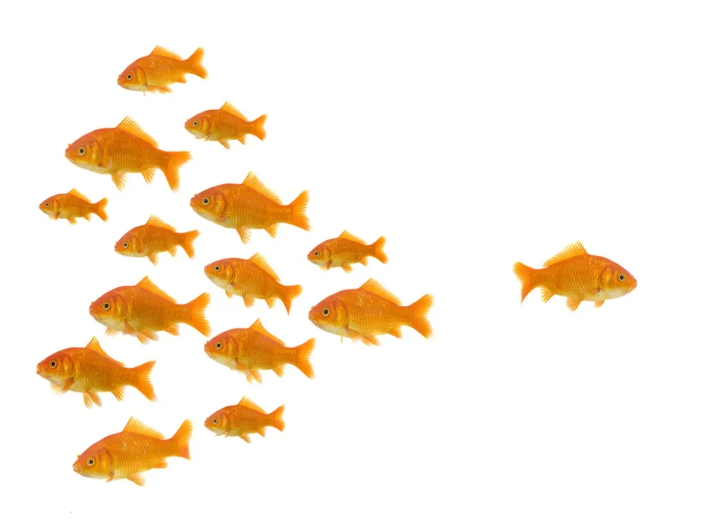 unique-be-different.jpg