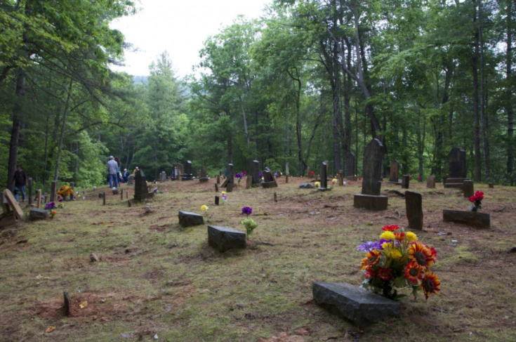 Cable Cemetery // Photo by Christina Cooke (not included in original publication)