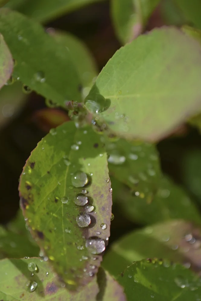 DSC_0613.jpg