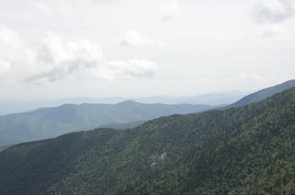 DSC_0559.jpg