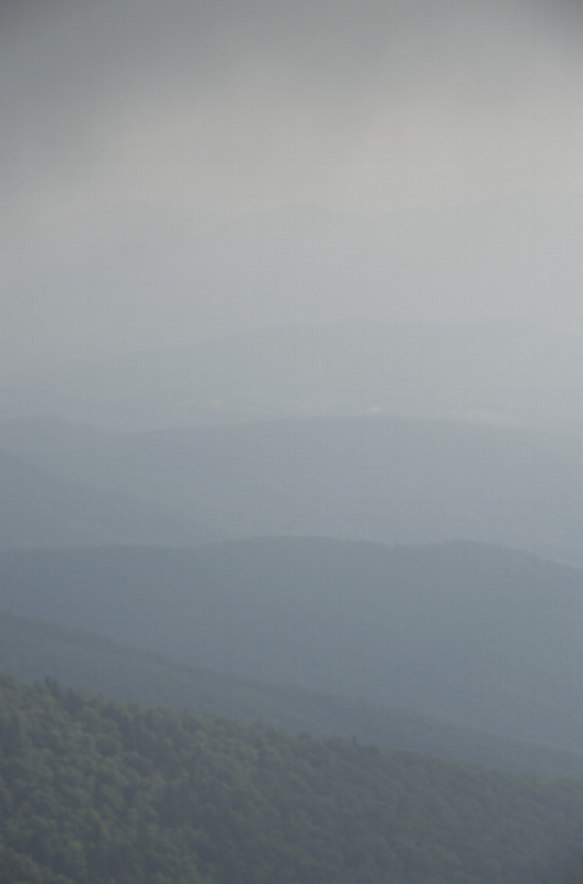 DSC_0730.jpg