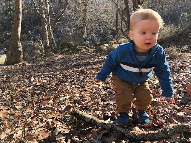 Getting the hang of navigating the rocks and roots and sticks all by himself