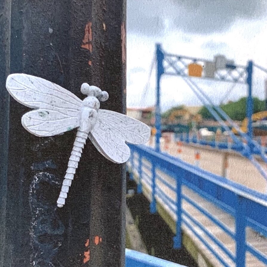 RECOVERY DRAGONFLIES.jpeg