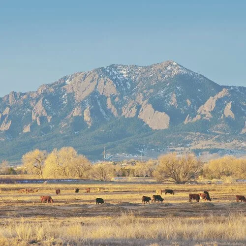Convoi_Colorado.jpg