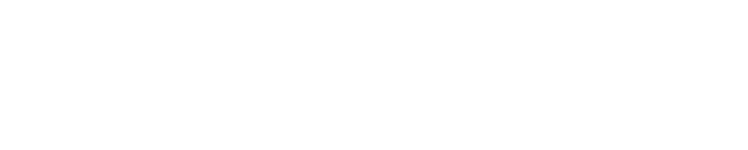 nur_white logo_no star_offset.png