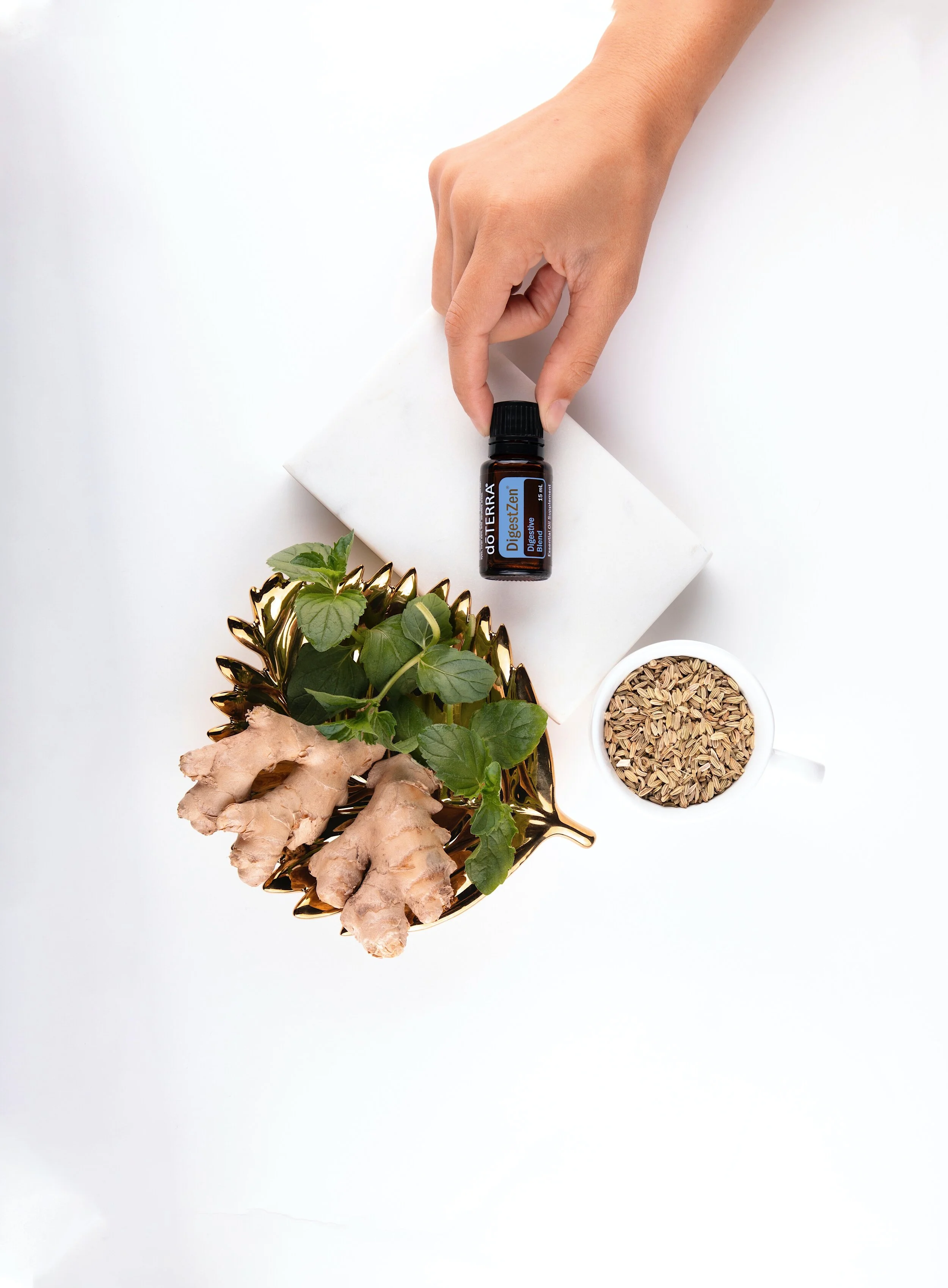 The Microbiome and Health: How you can give your body a boost this Winter