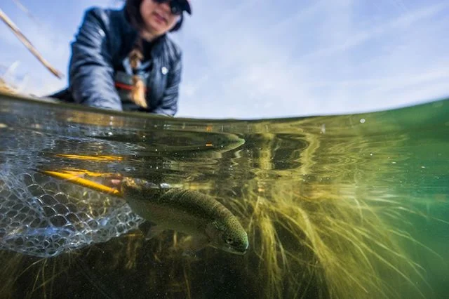 @cherylvaldez putting back her first ever trout! Her boyfriend @oregonoutfitters trained her well.
@rising3474 @noslerinc