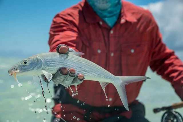 @chrisclogston getting it done on Christmas Island.
@stiomountain @buff_usa