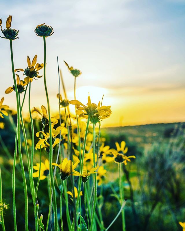 The best time of the year!