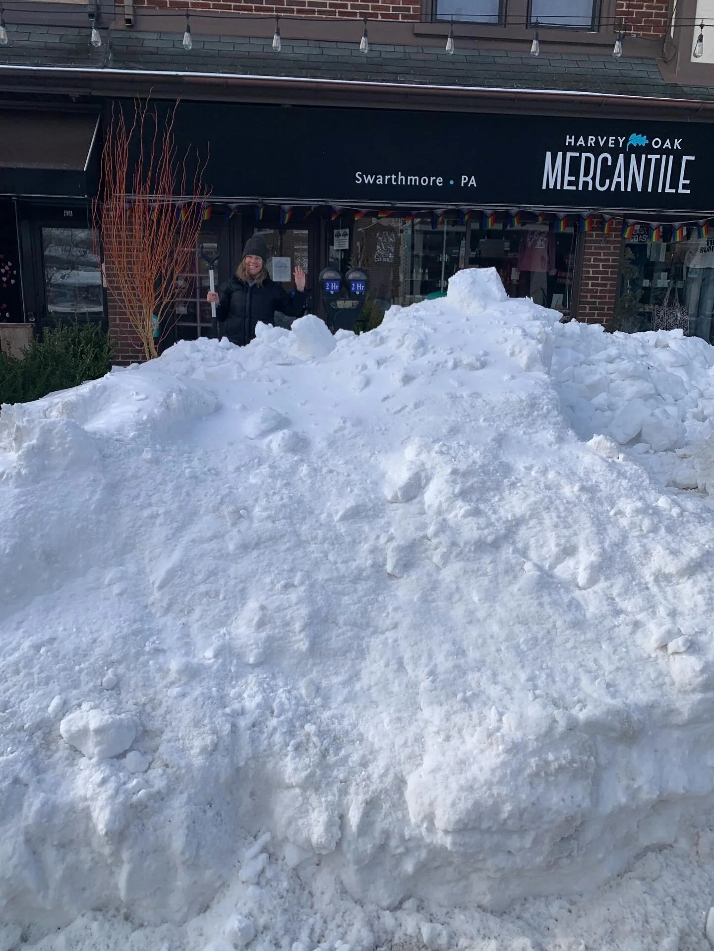 Despite this mountain of shoveled and plowed snow outside of our shop, @harveyoak will be open Wednesday, January 28th at 11AM! @marthaperkins and I got a good workout clearing the snow and look forward to welcoming you Wednesday to shop for gifts (V