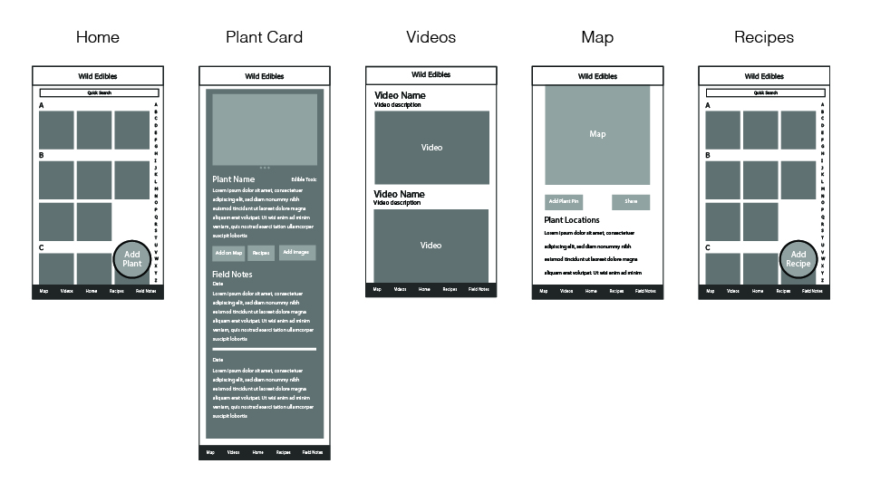 Wireframes