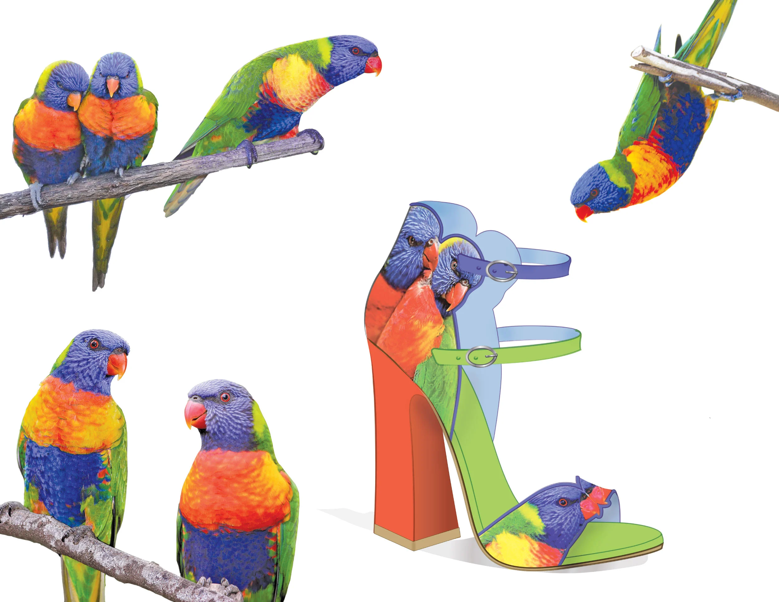 BIRDS-OF-PARADISE-design1.jpg