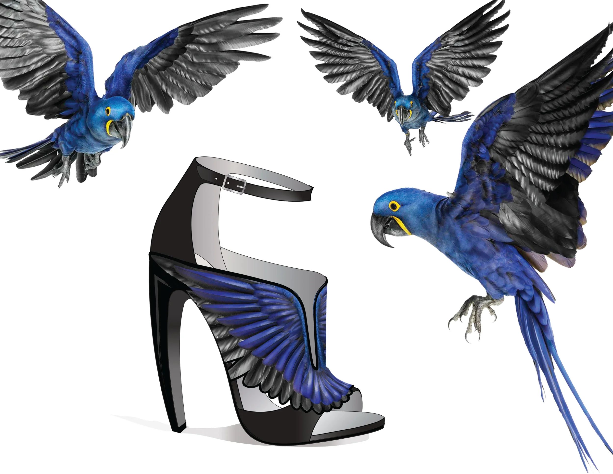 BIRDS-OF-PARADISE-design2.jpg