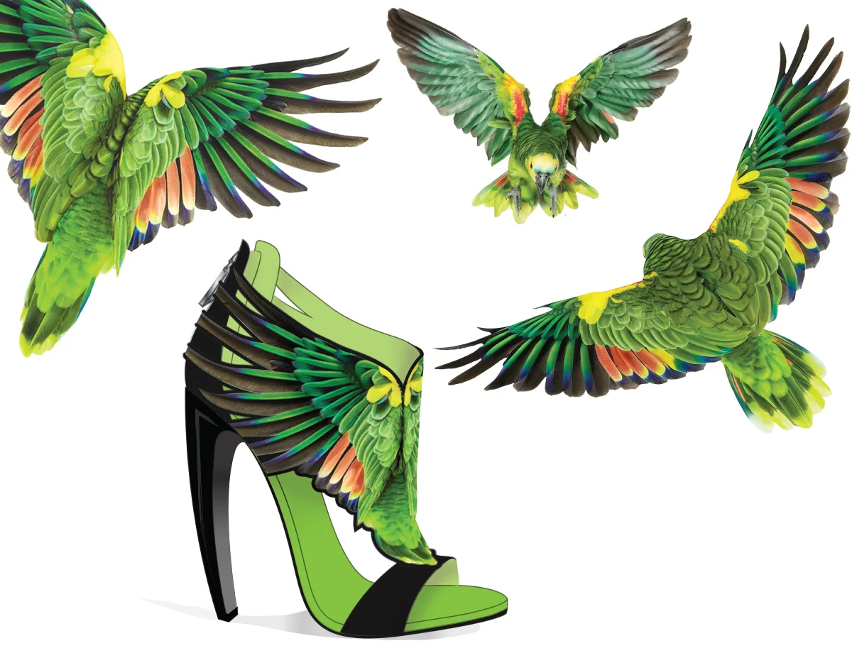 BIRDS-OF-PARADISE.jpg