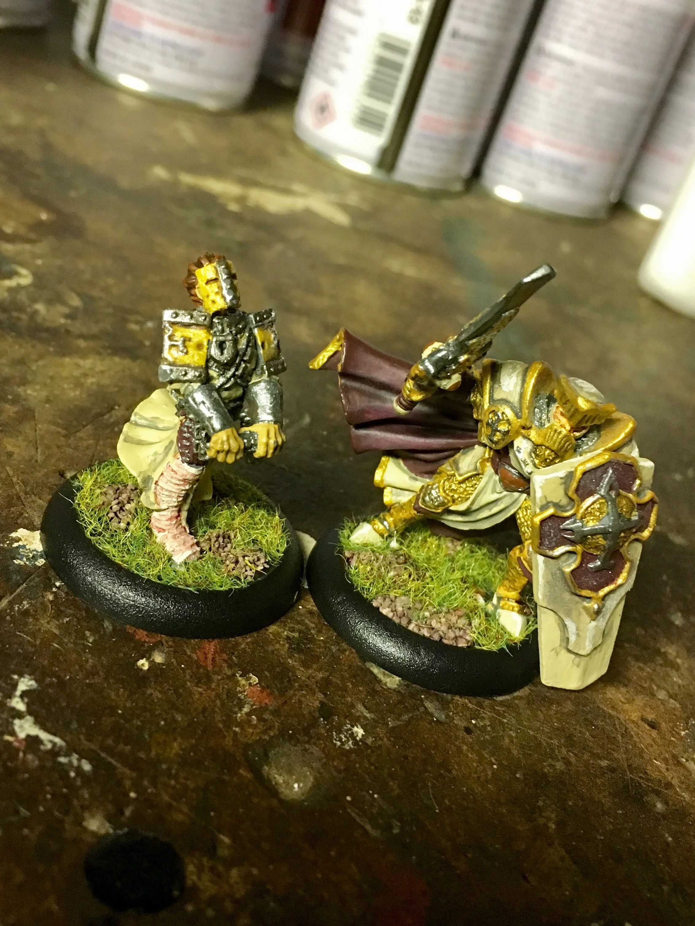 Vassal/Paladin