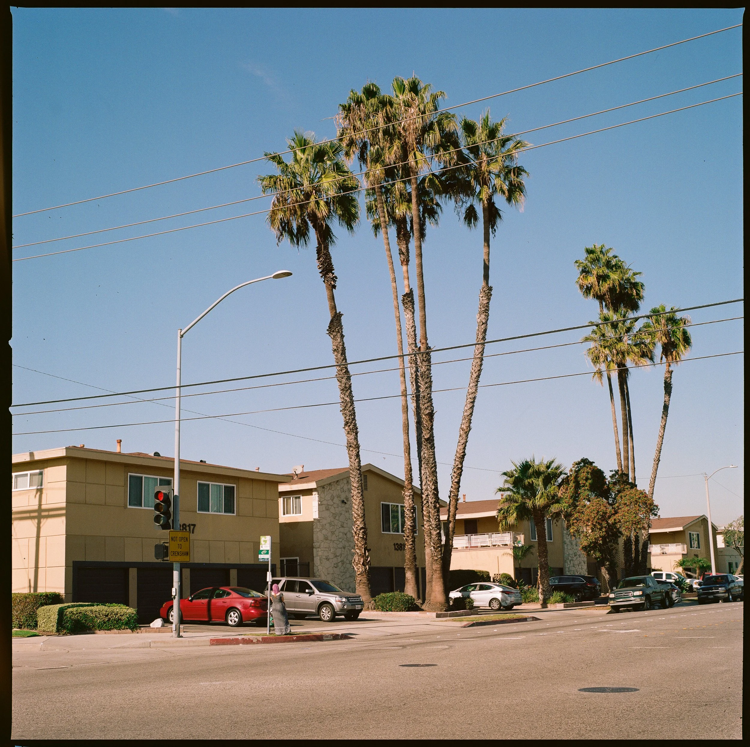 vanness-1.JPG