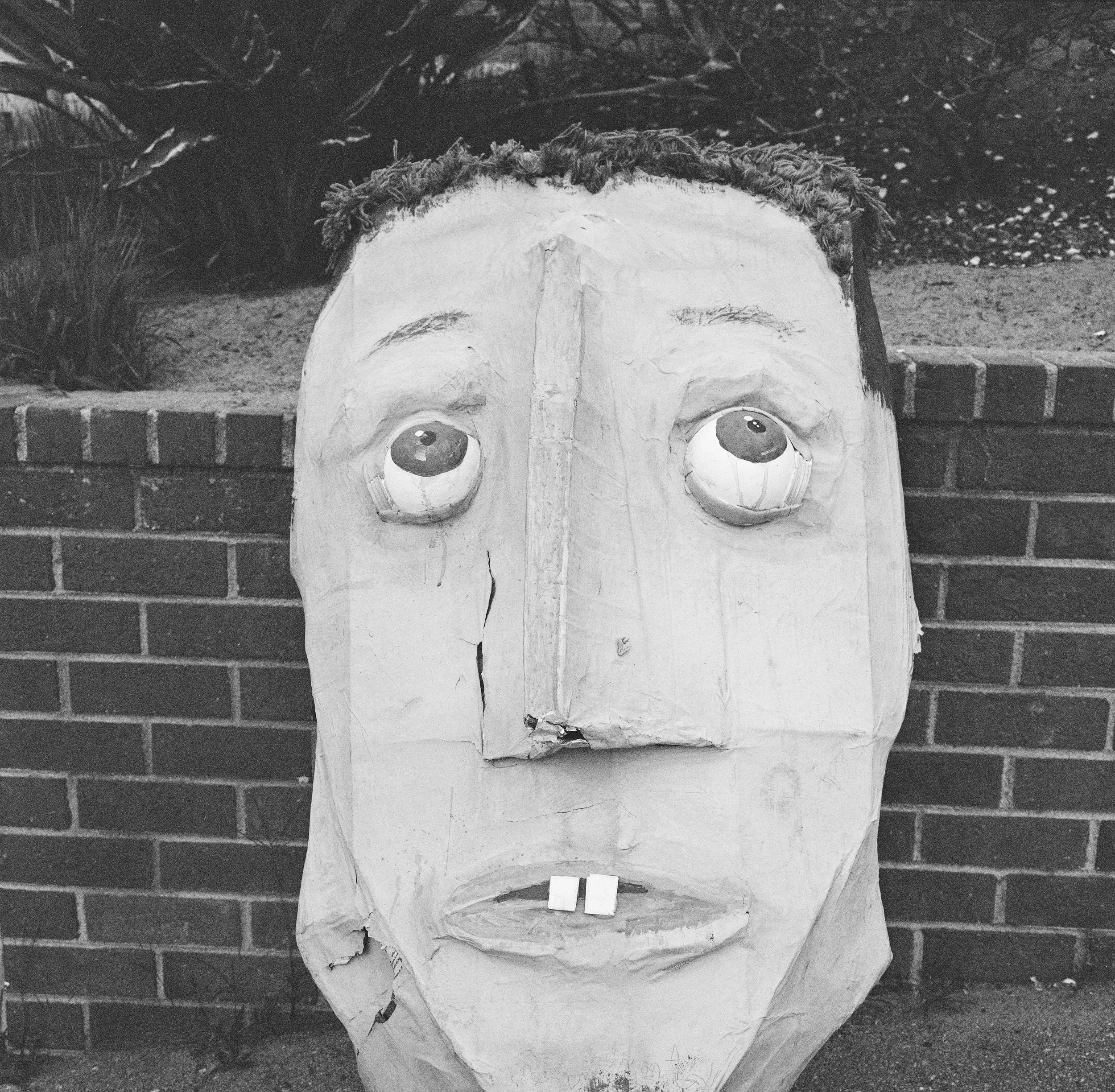 papier+mache+head+-1.jpg