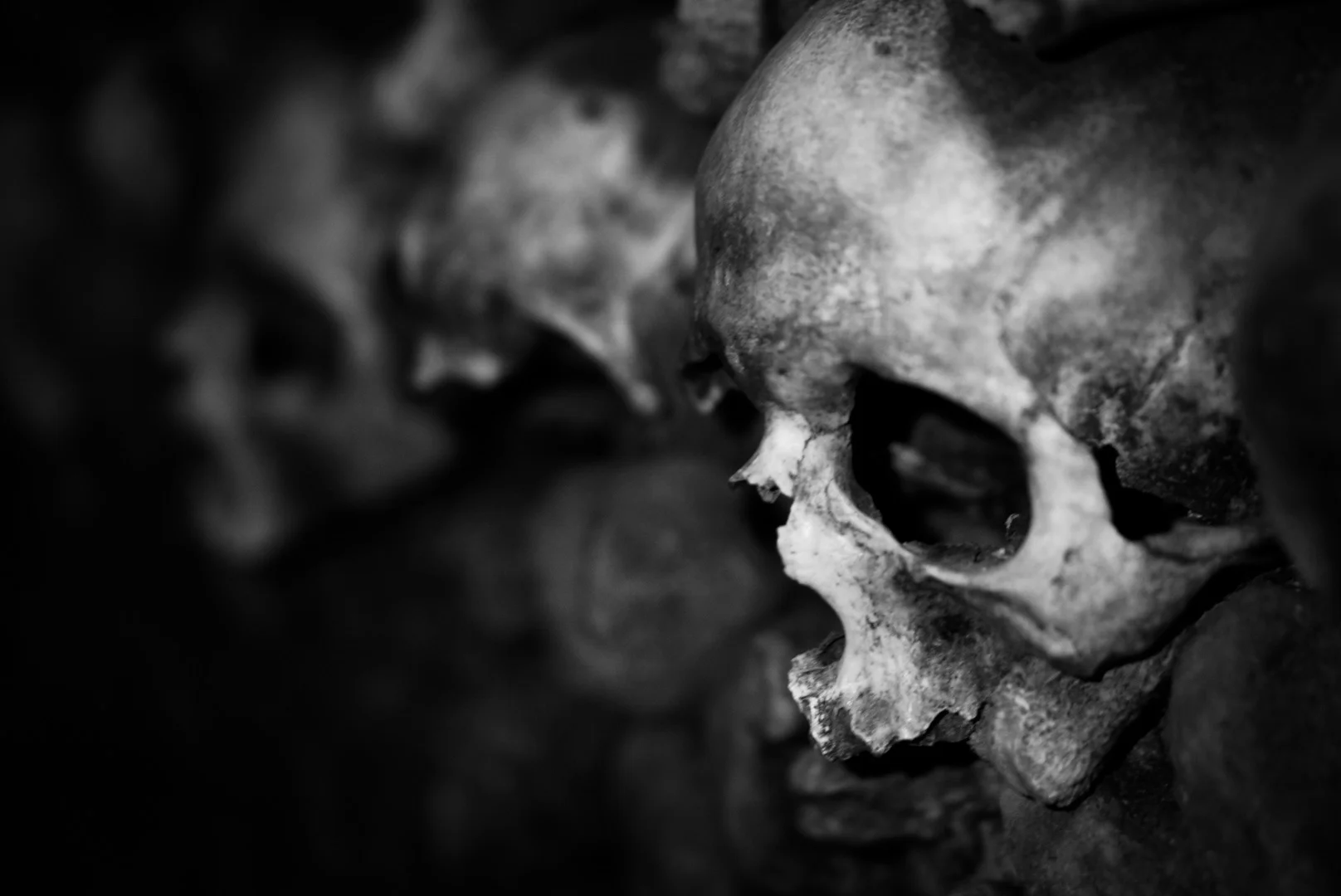 Skull 3 bw.jpg