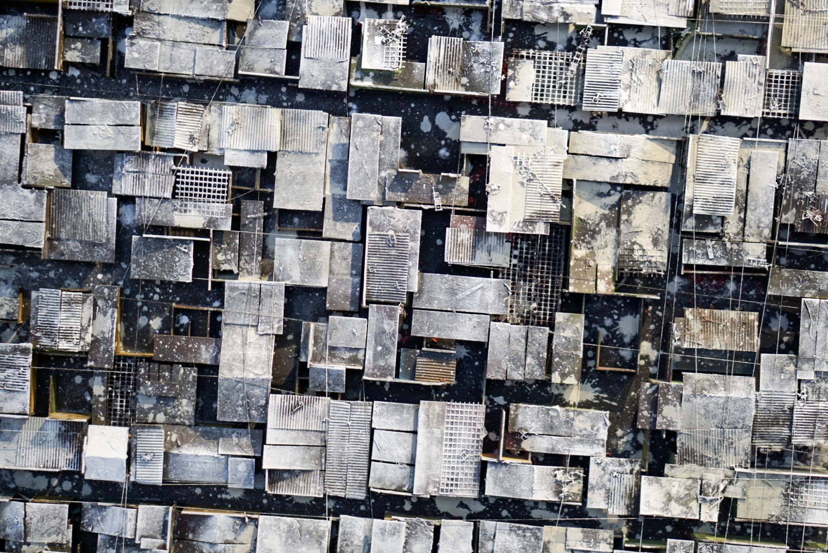 White rooftops.jpg