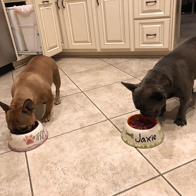 My niece and nephew luuuuuuved their new bowls from Avery!!! Made it worth trudging them through two flights.