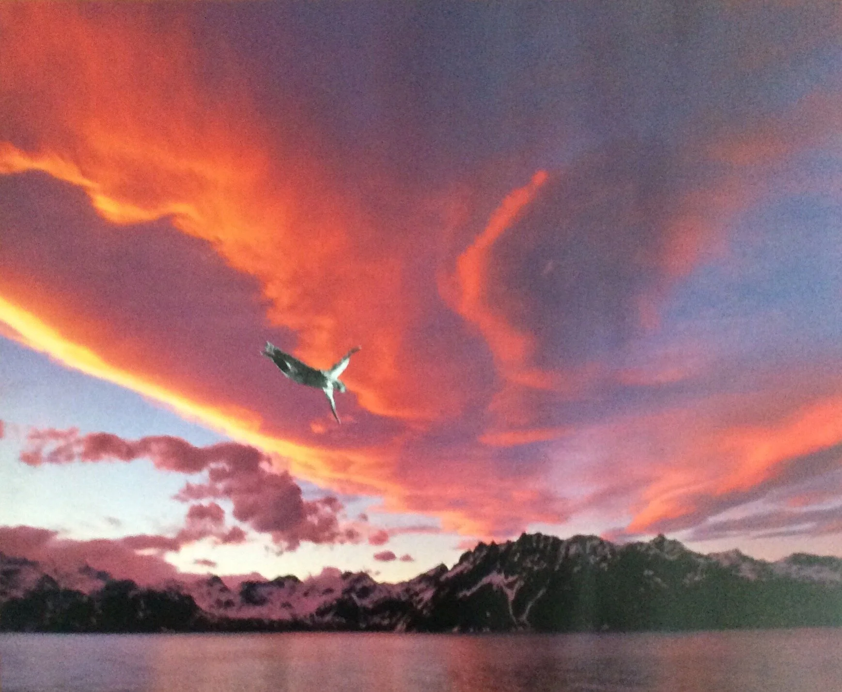 Icarus Falls Cloud Series II No. 1