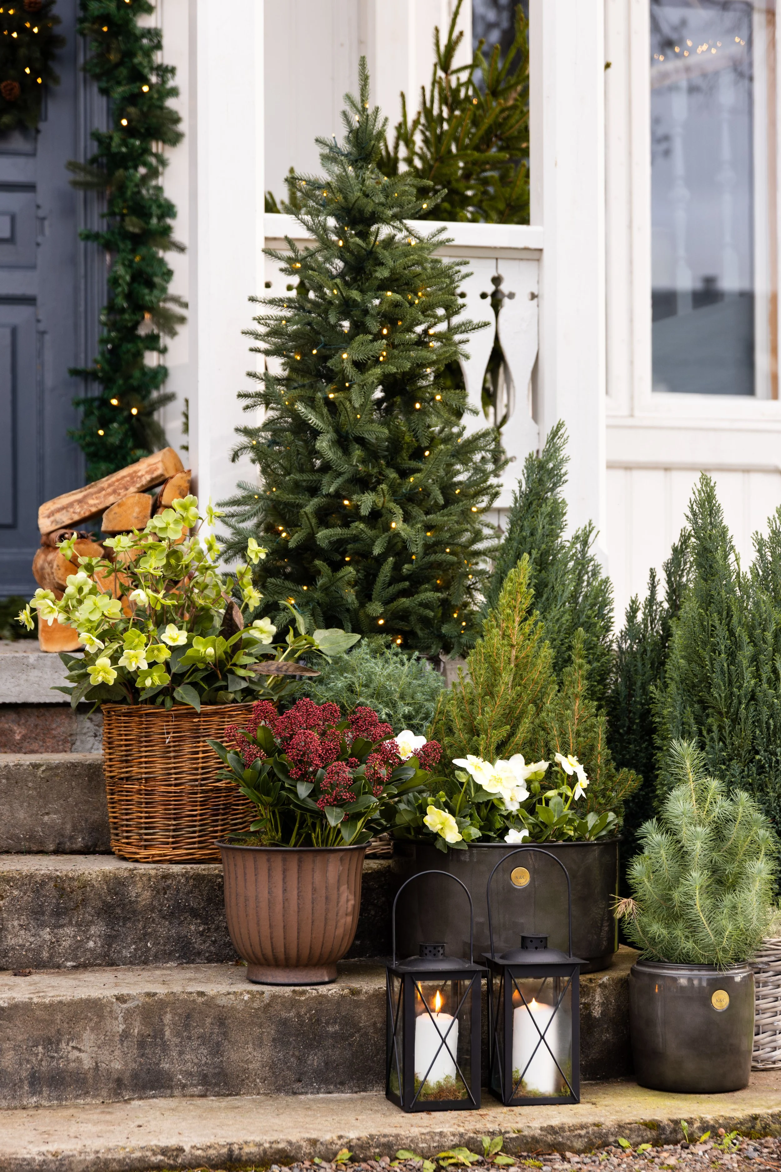 plantasjen jul-75.JPEG