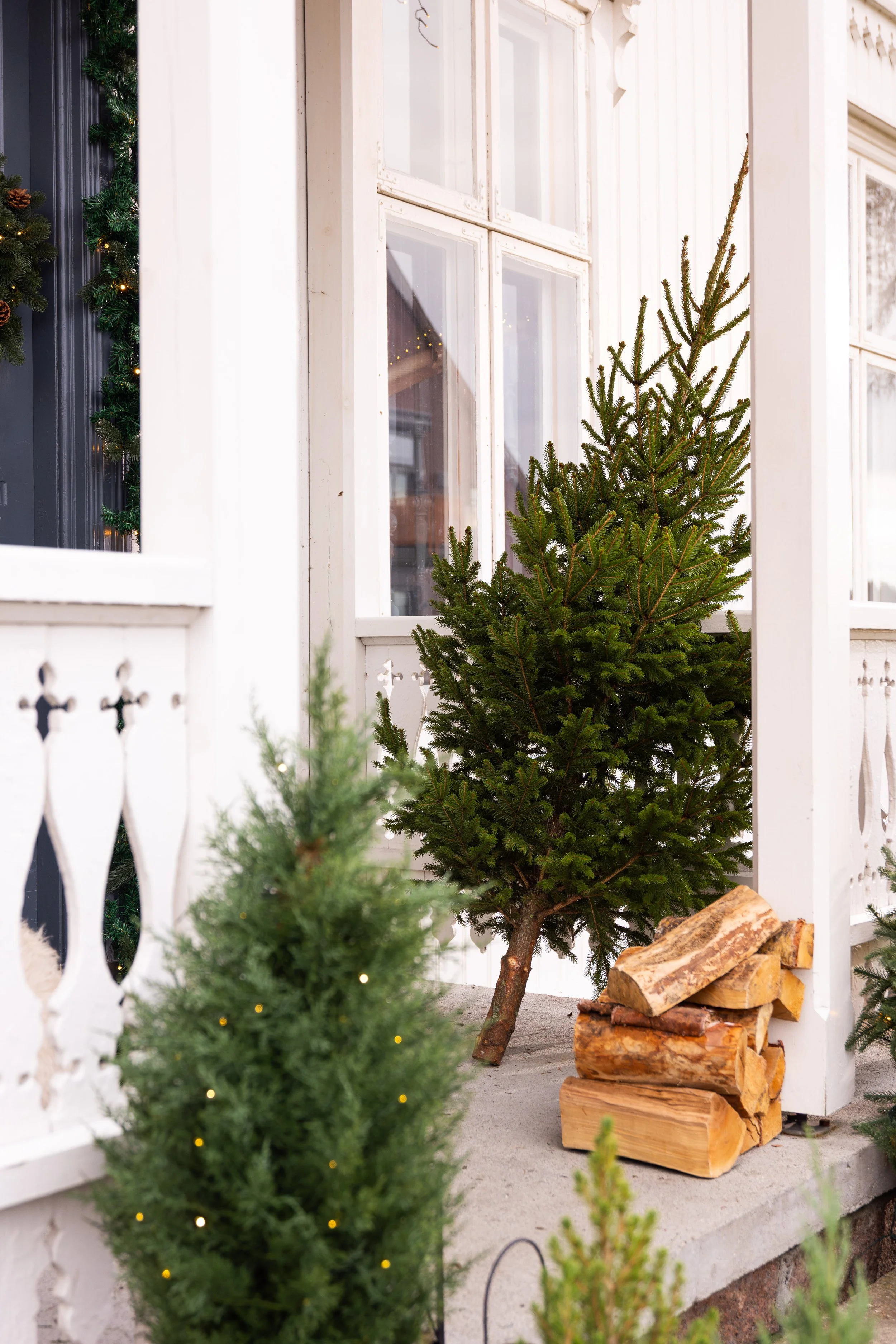 plantasjen jul-80.JPEG