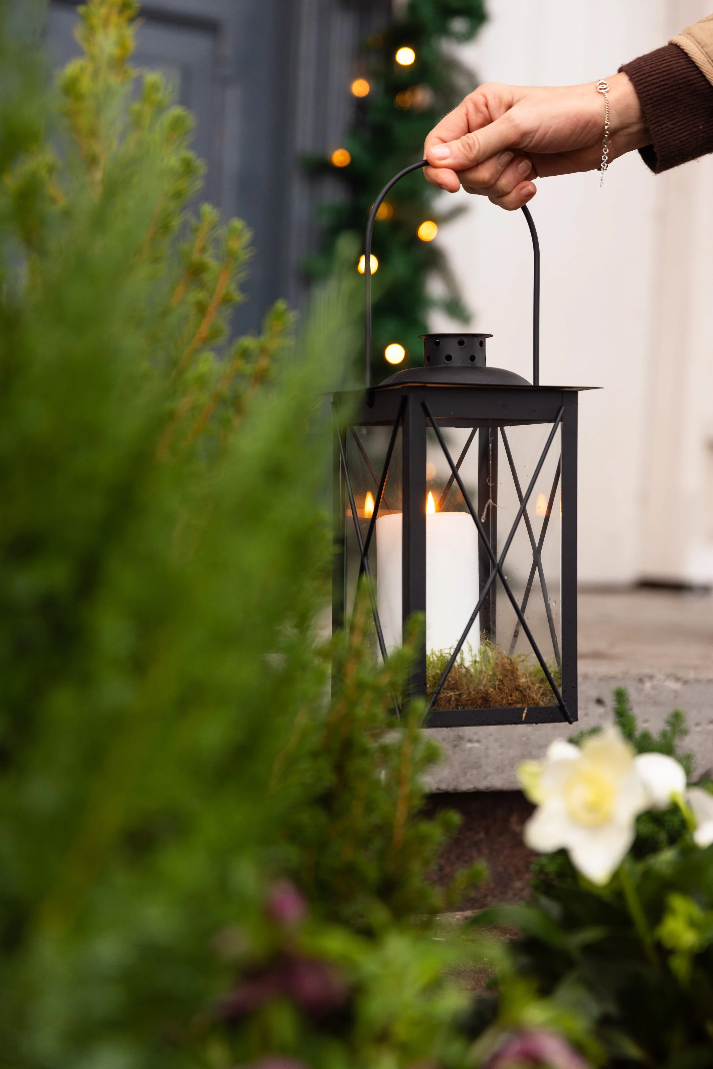 plantasjen jul-126.JPEG