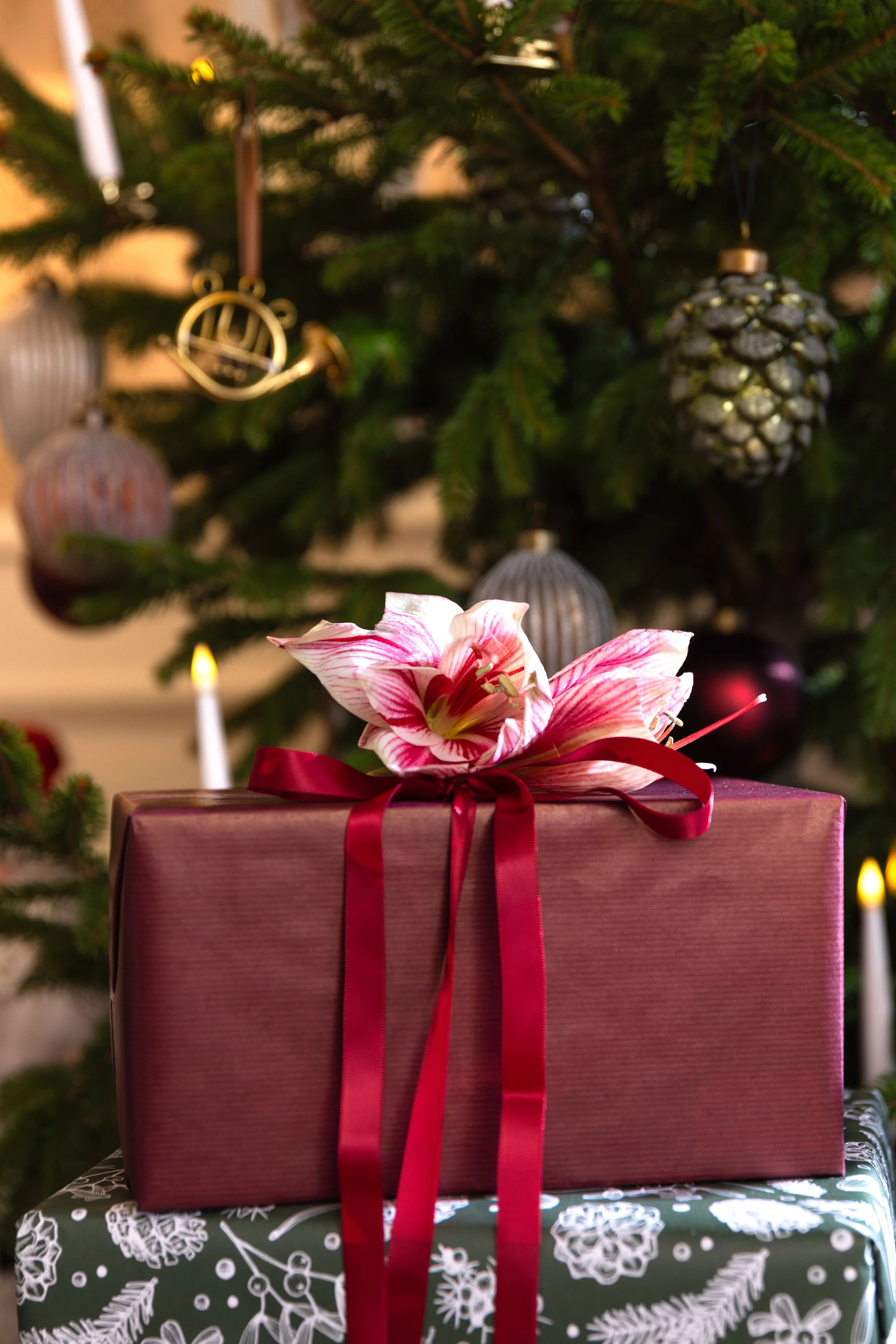 plantasjen jul-150.JPEG