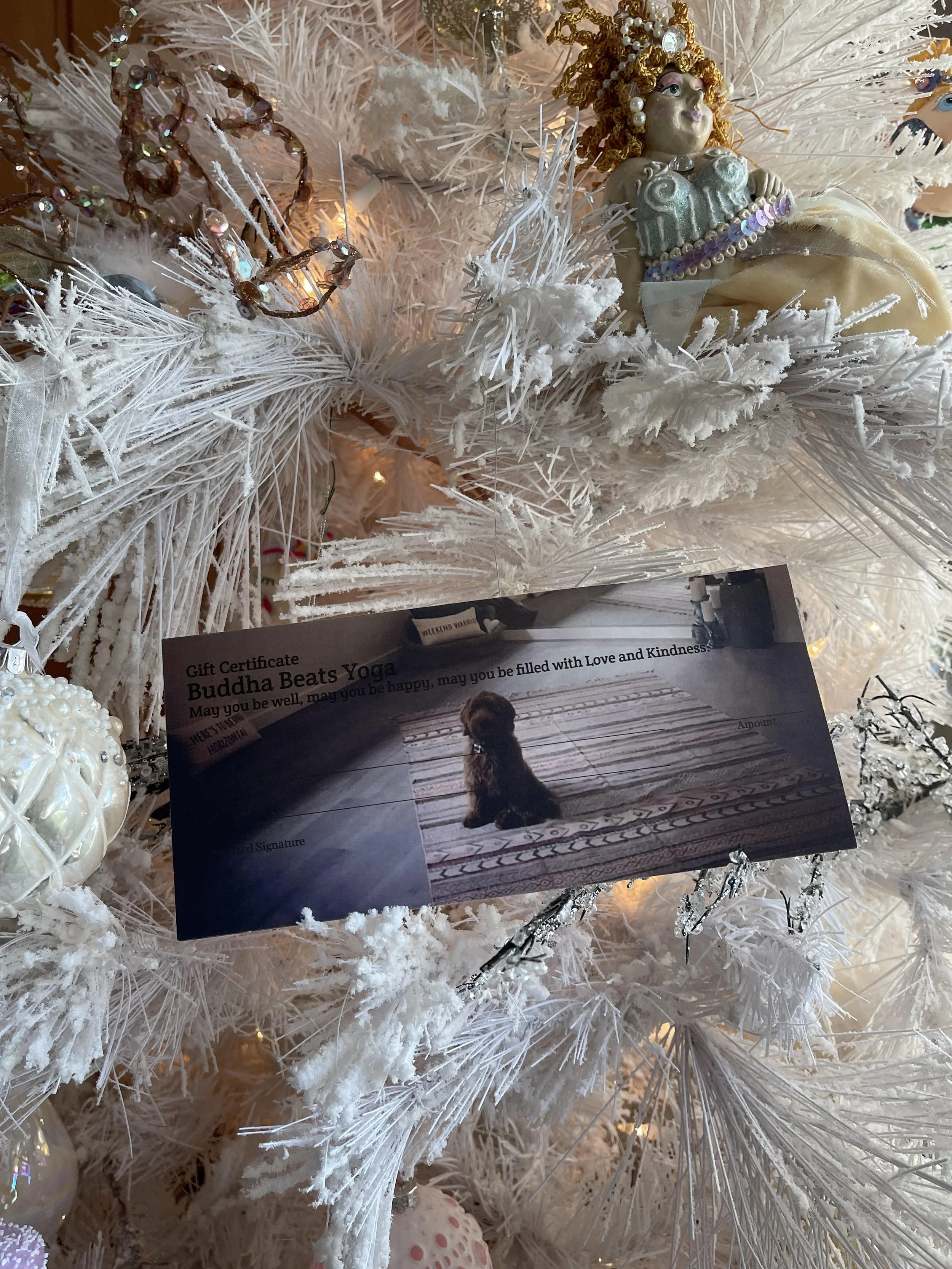 Super Ultra Fun Yoga Time