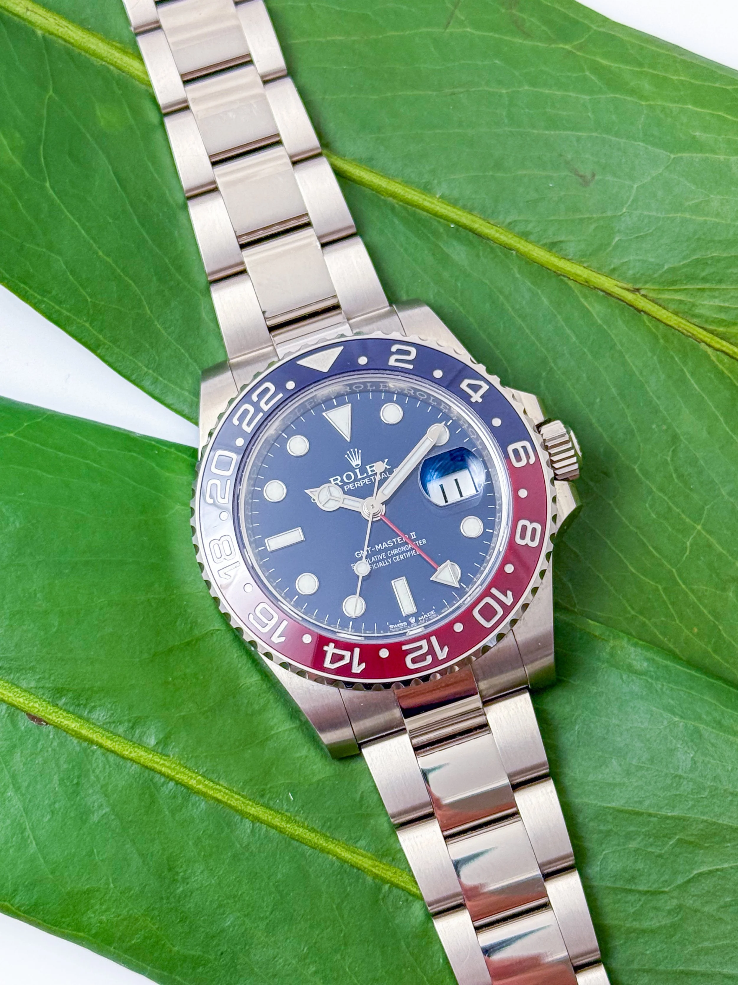 3674-8.jpg