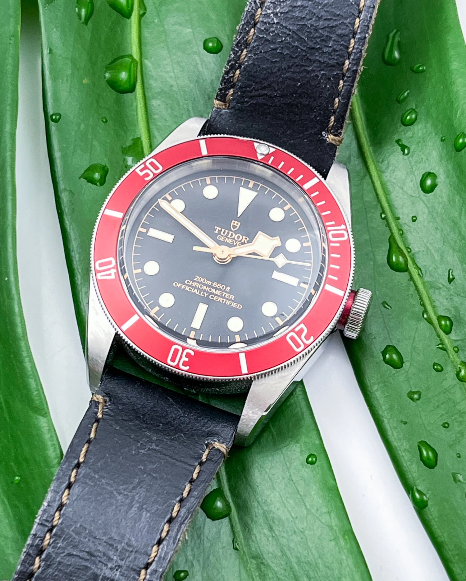 Tudor Heritage Black Bay RED Bezel Diver Stainless Steel Mens - Main Image
