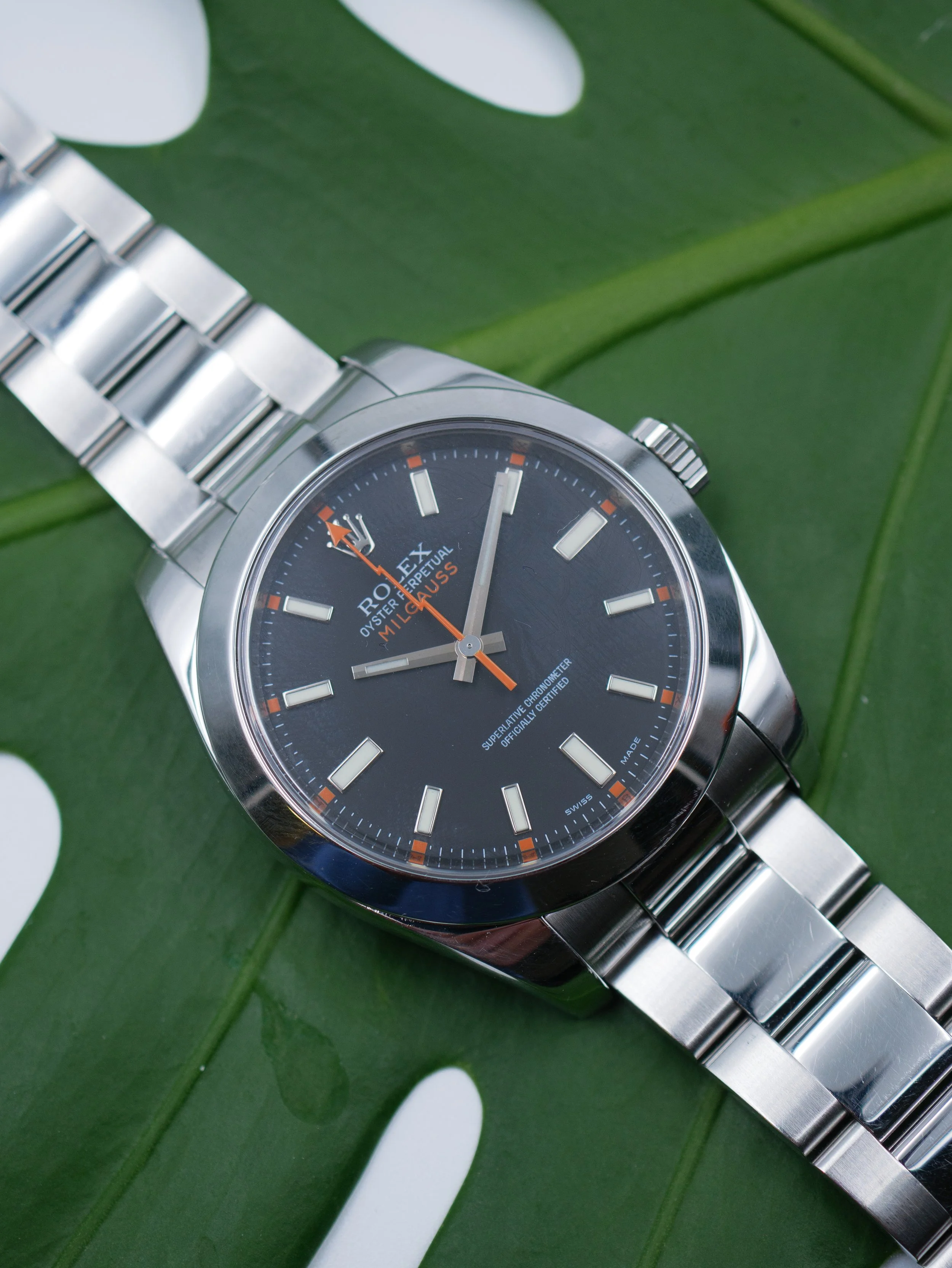 4126-5.jpg