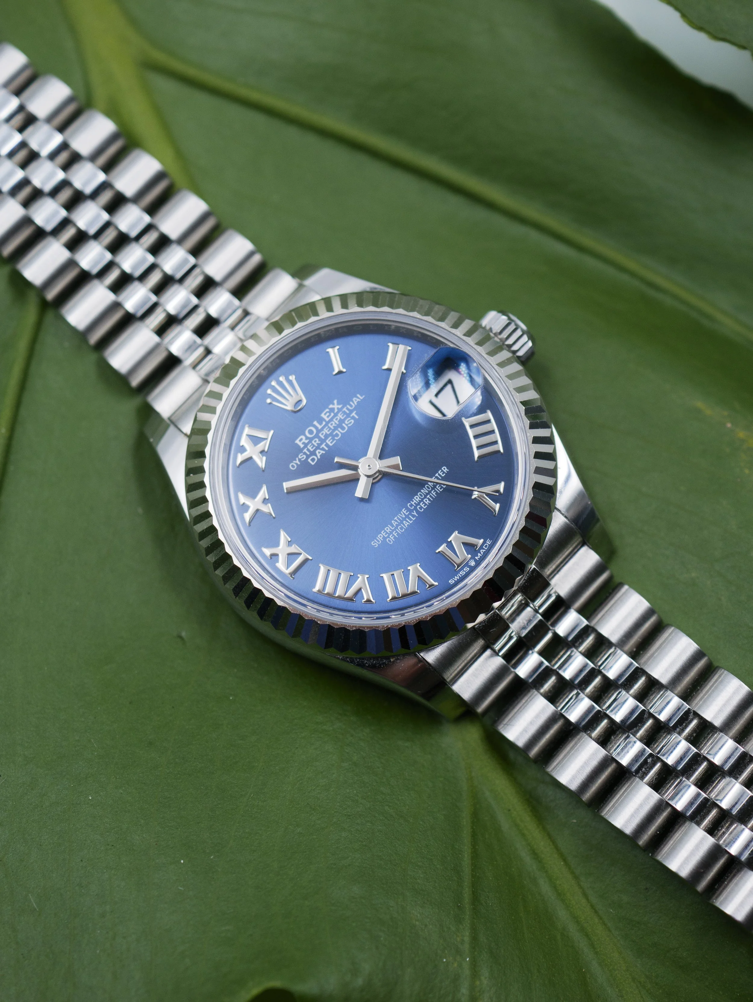 4107-11.jpg
