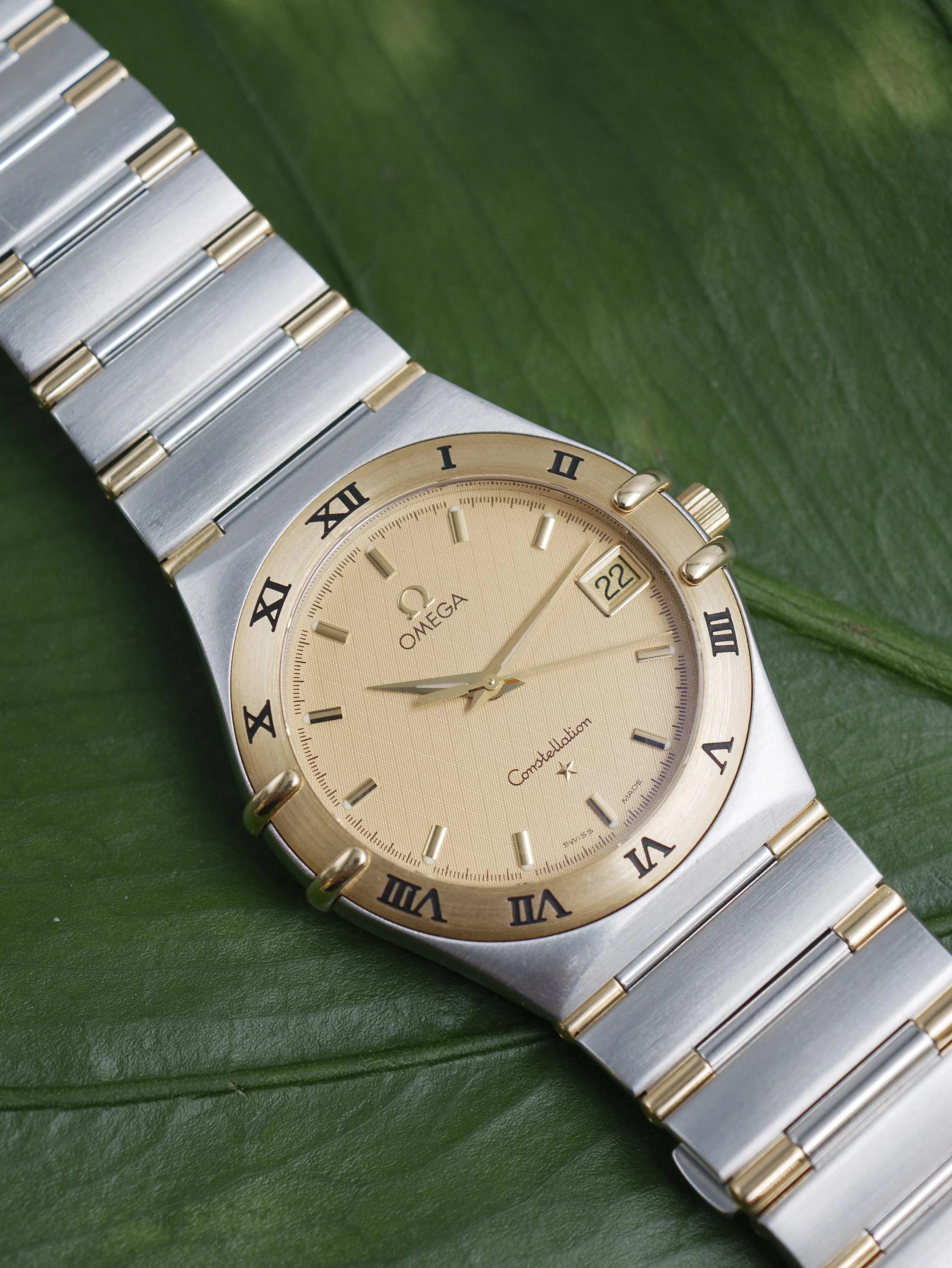 3946-9.jpg