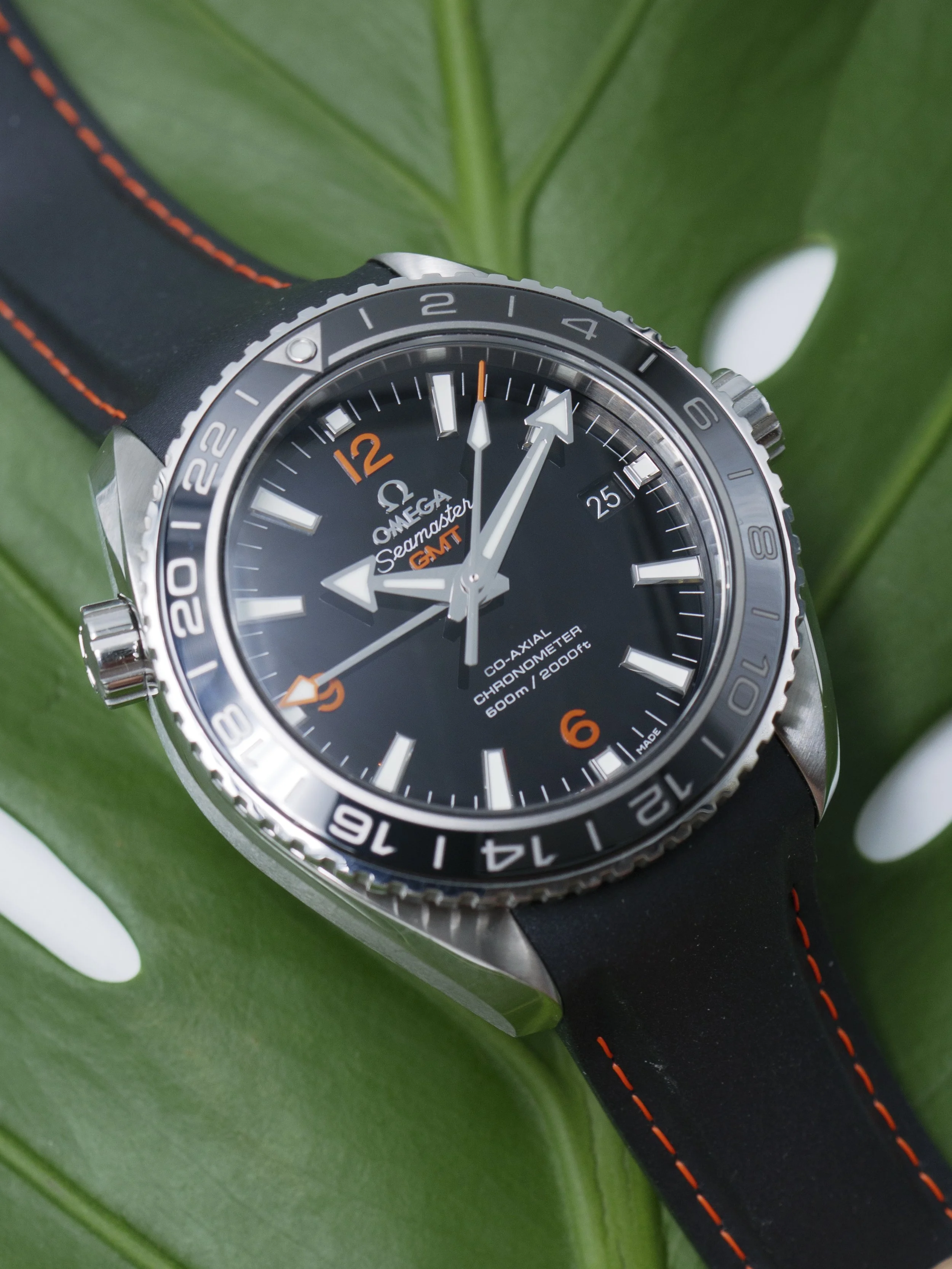 4026-10.jpg