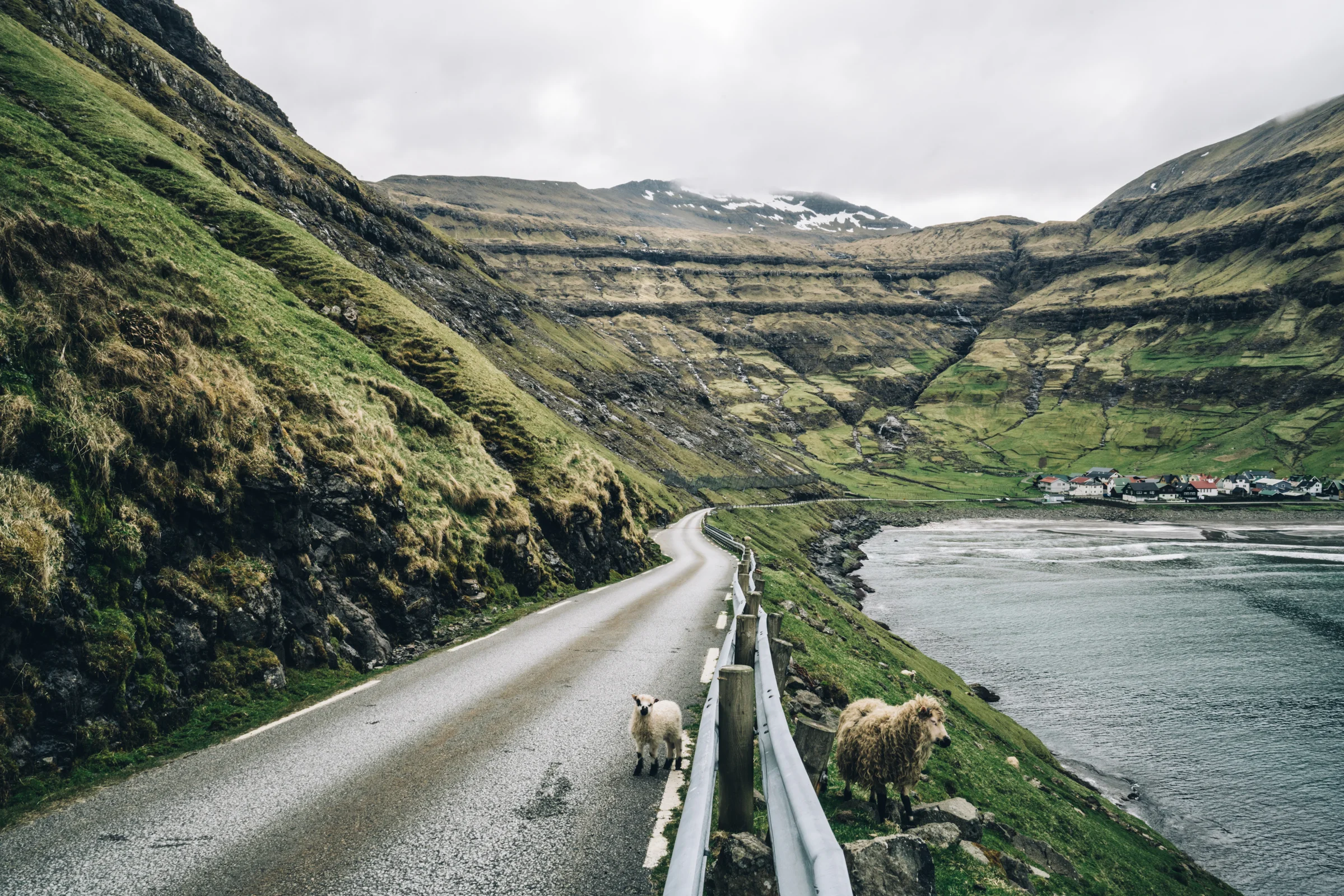 faroeislands-hunter-web13.jpg