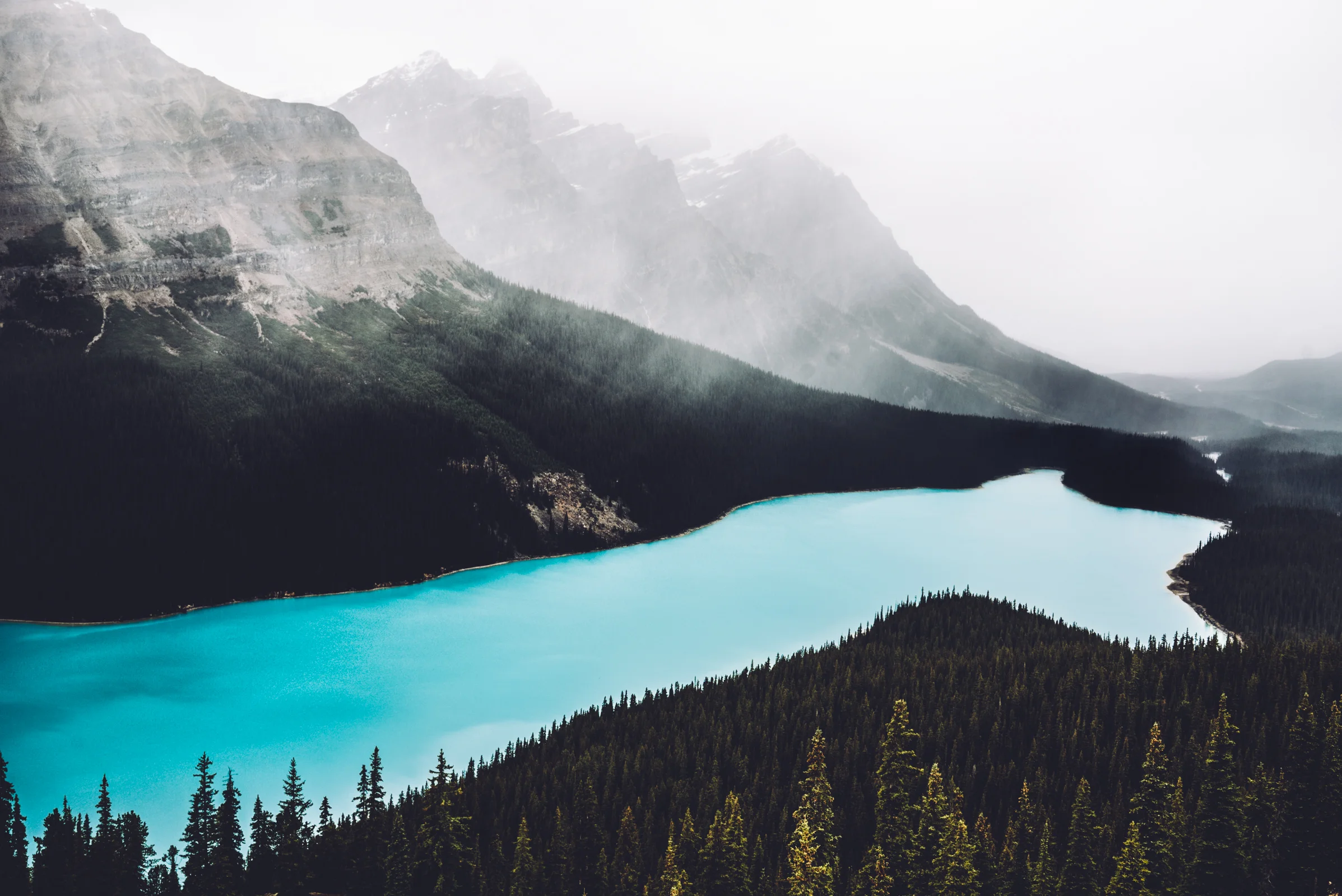 canada-web-1.jpg