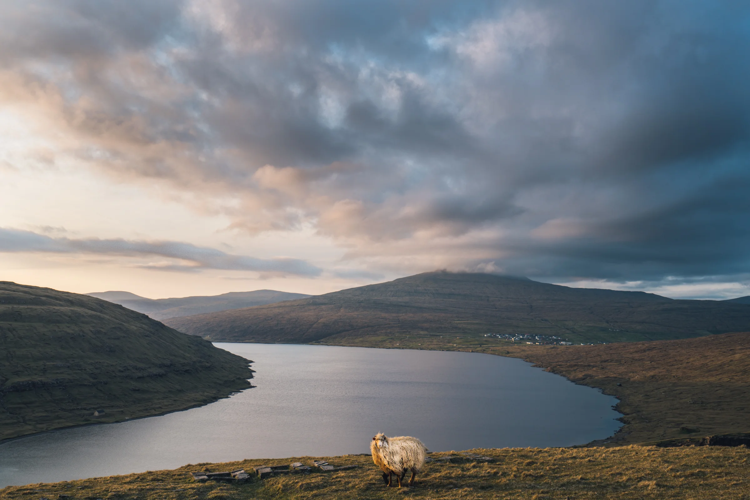 faroeislands-web-2.jpg