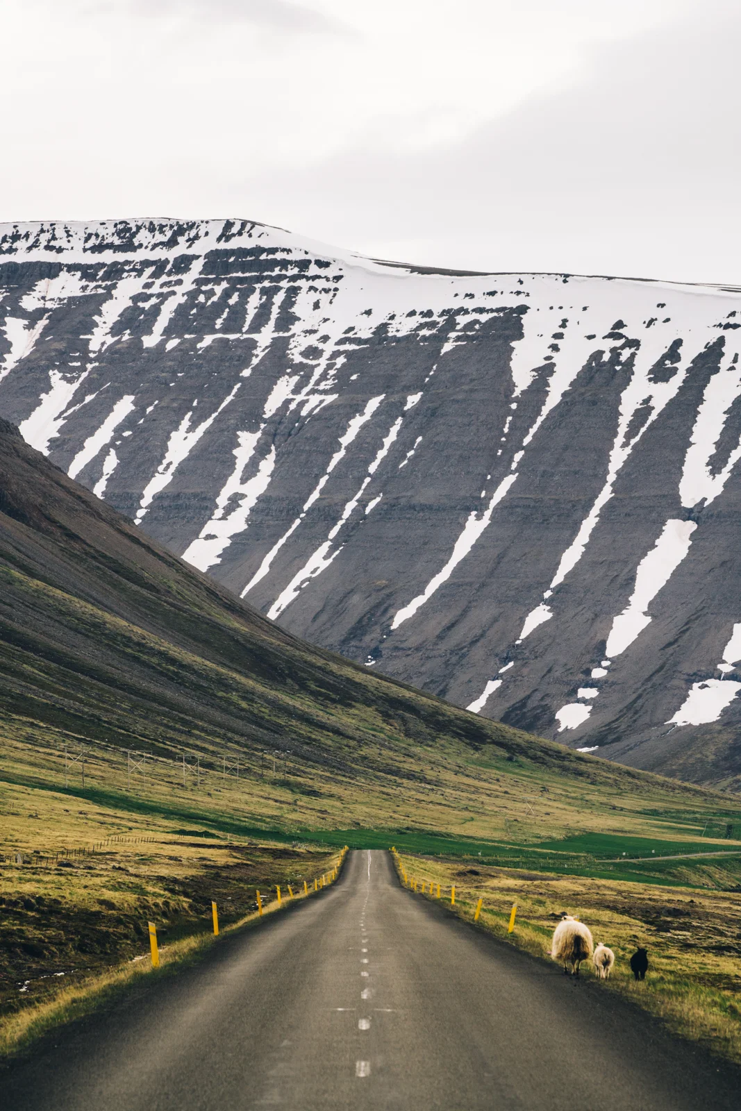 iceland-web-5.jpg