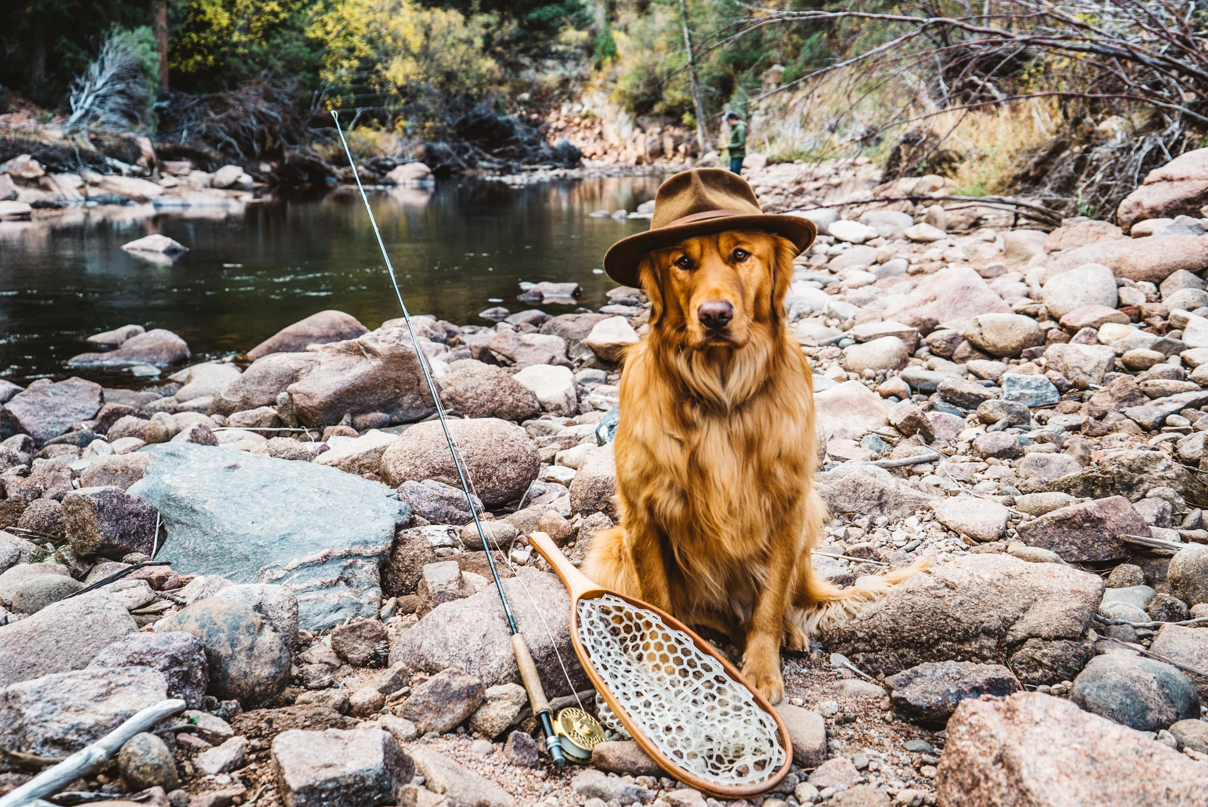 aspenthemountainpup-web-7.jpg