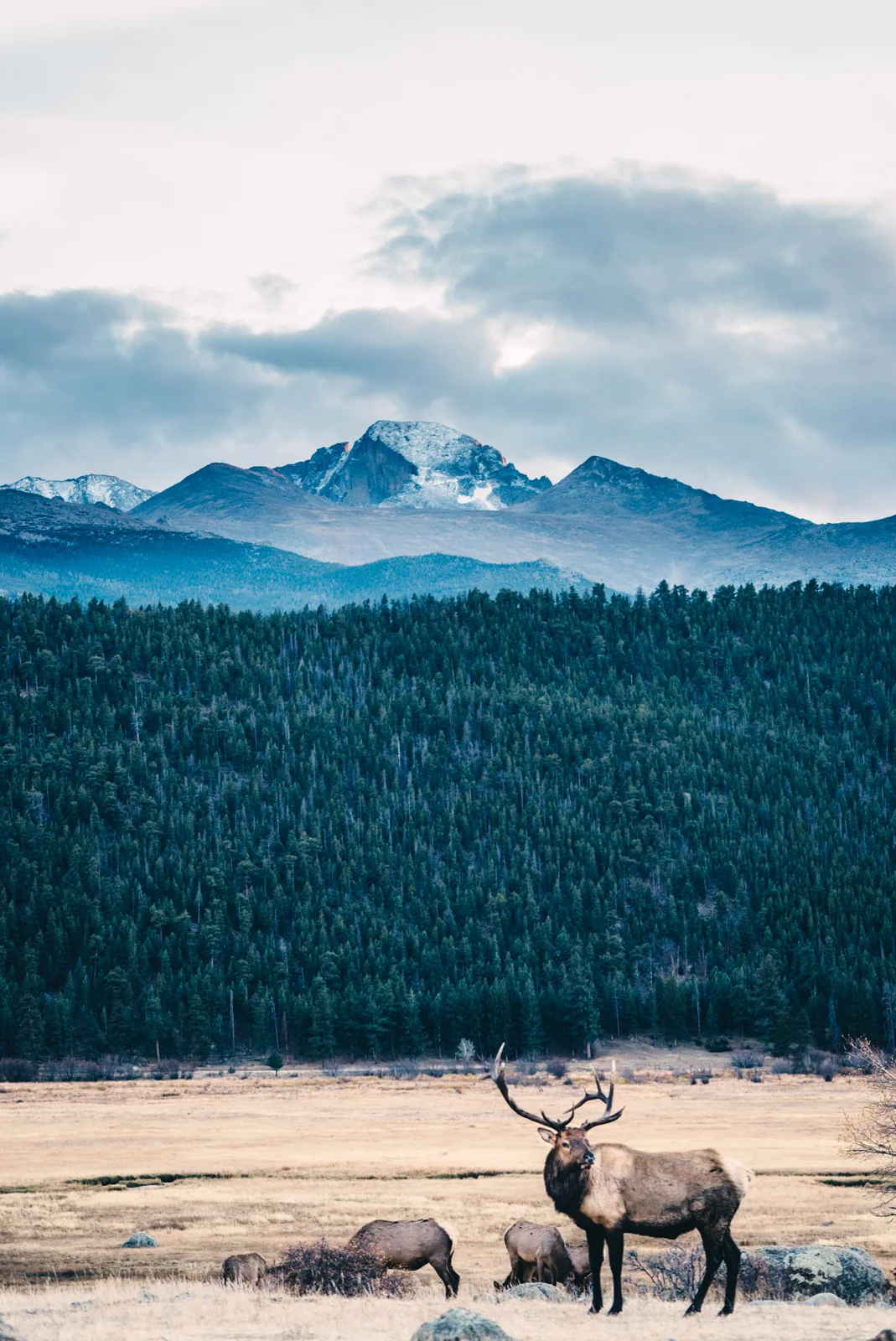 colorado-web-1.jpg
