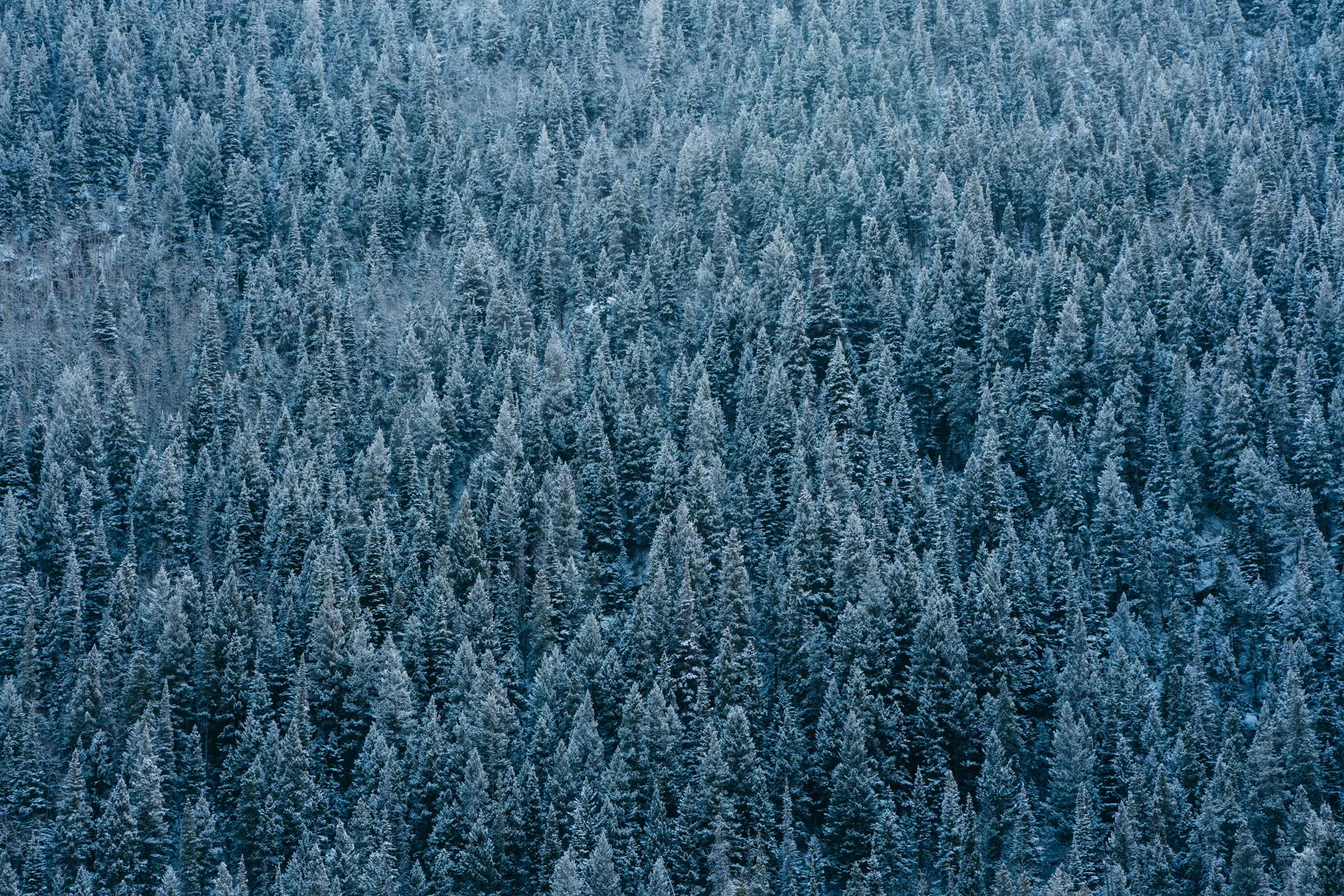 colorado2017-5.jpg