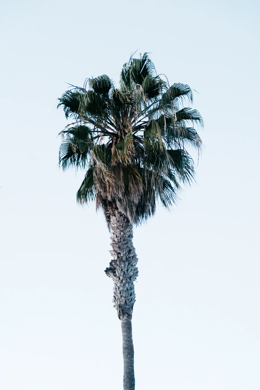 travelguide-16.jpg