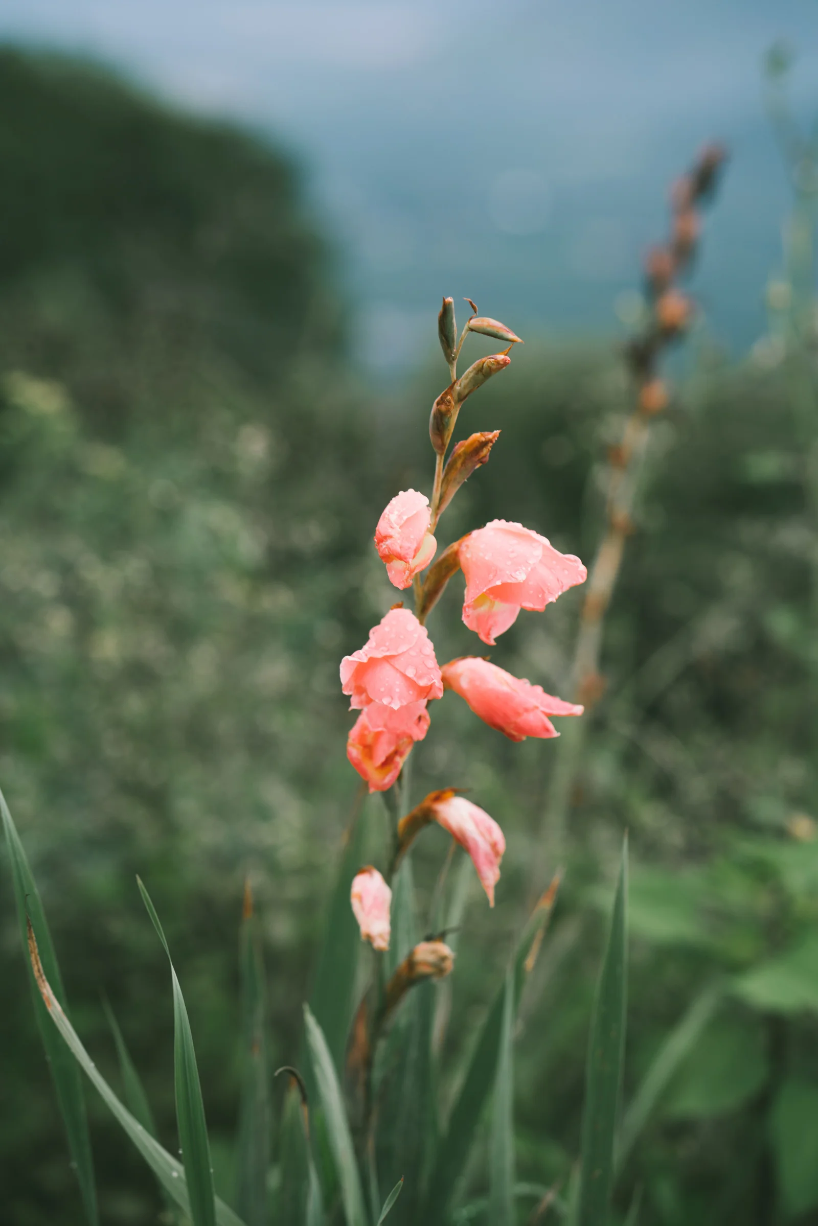 guatemala-70.jpg