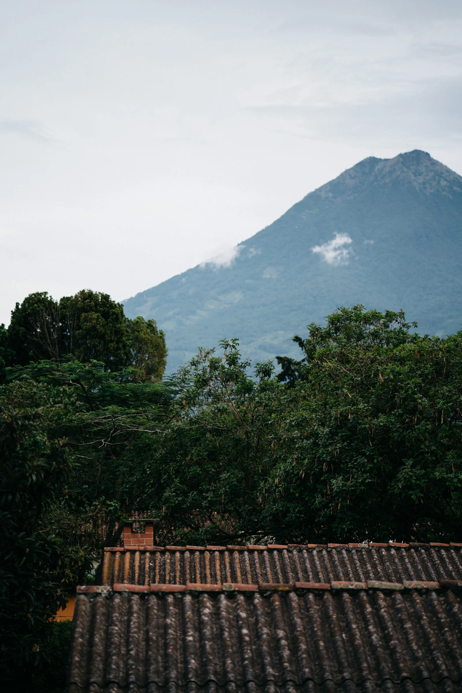 guatemala.jpg